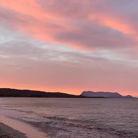 Feriehus Azzurra Sul Mare Budoni